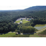 estatewineryvineyard